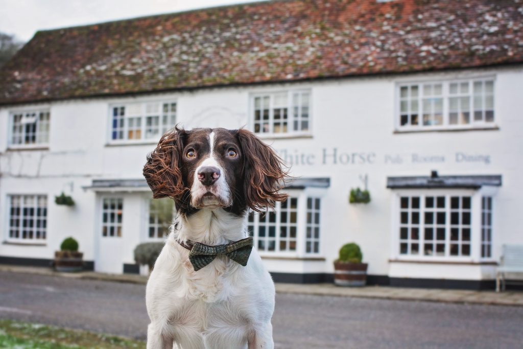 The White Horse in Cosham West Sussex.