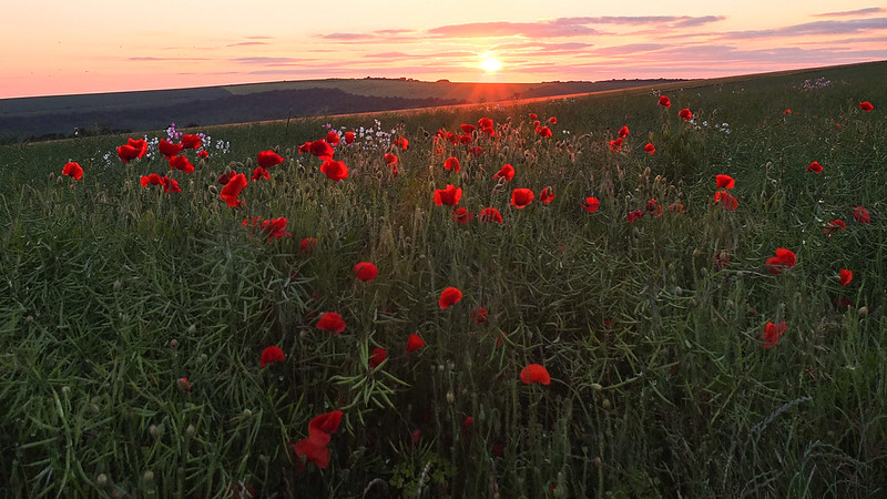 Ditchling beacon