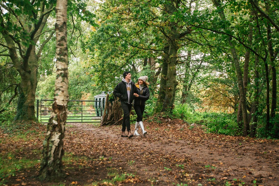 autumn walks