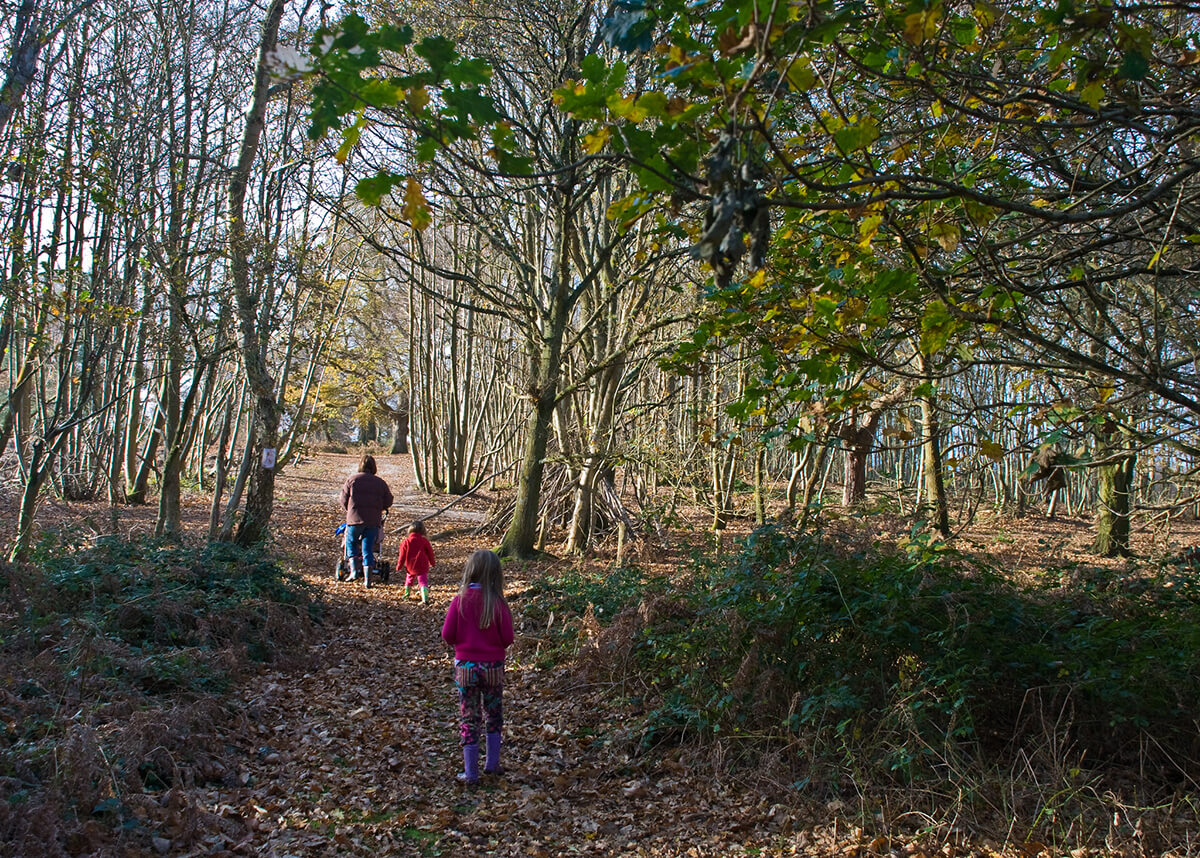 Family walking in Pulborough Brooks in West Sussex