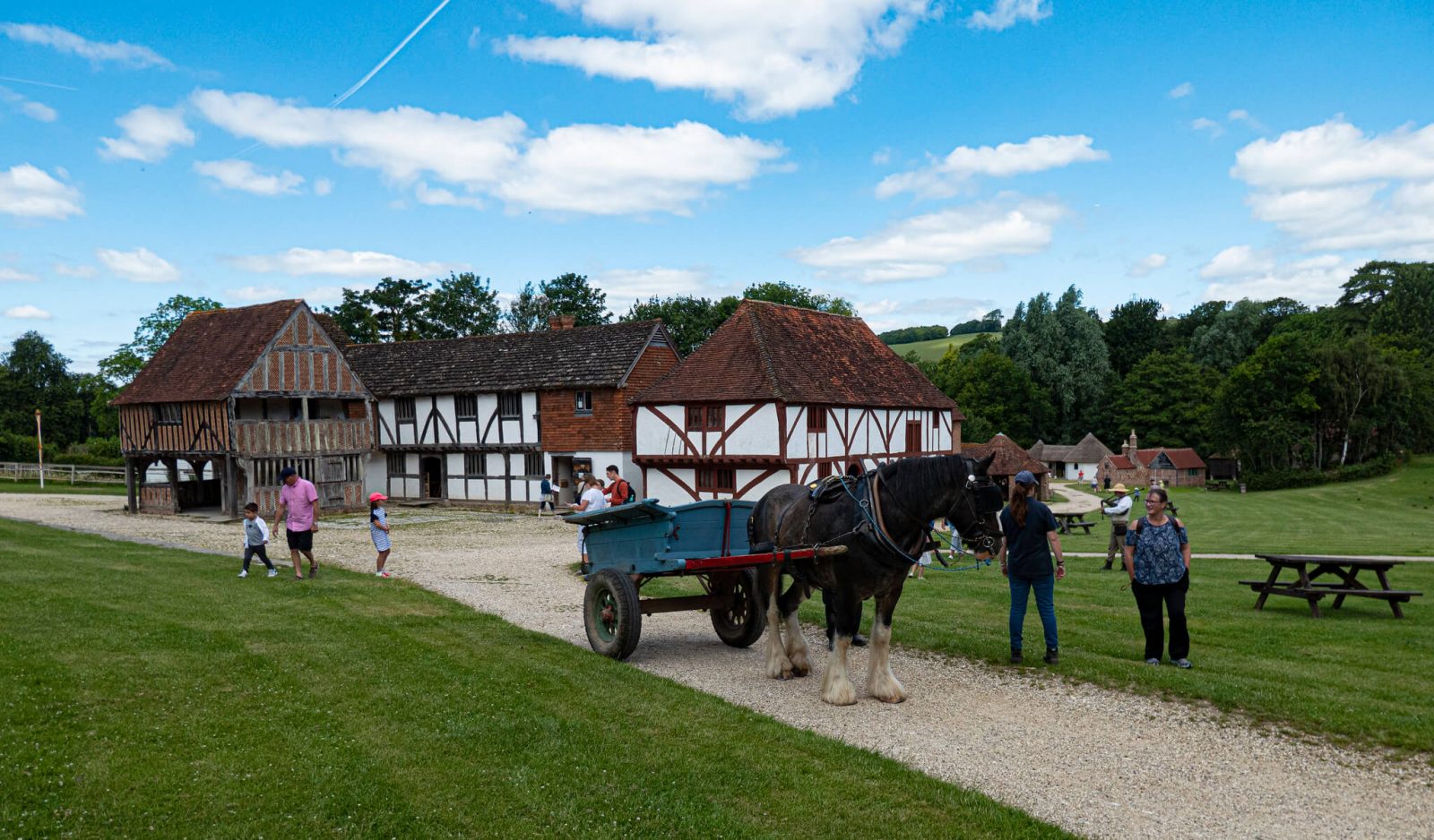 weald downland living museum