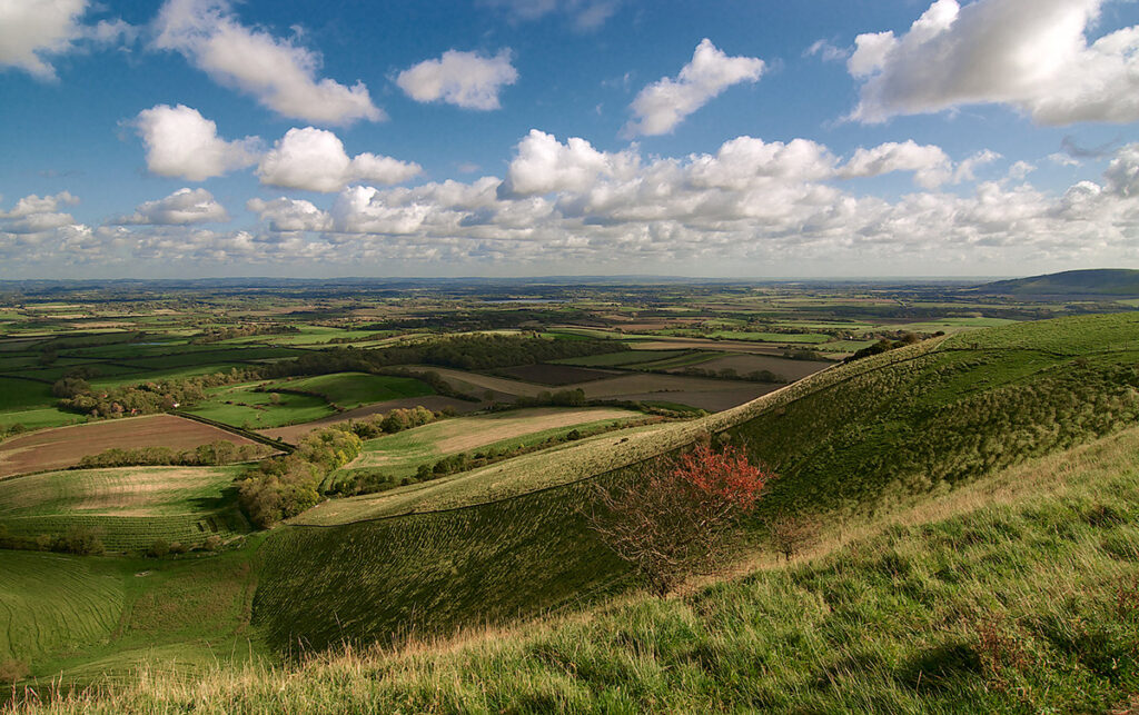 South Downs national park