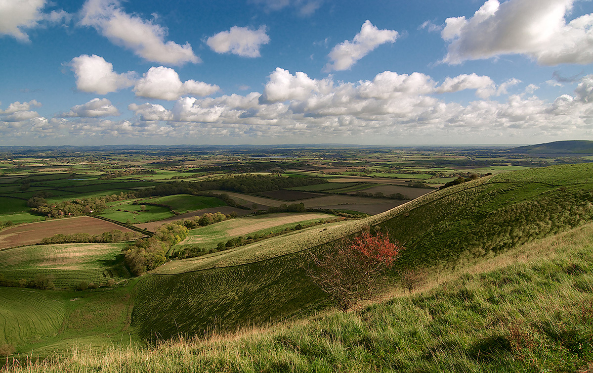 South Downs national park