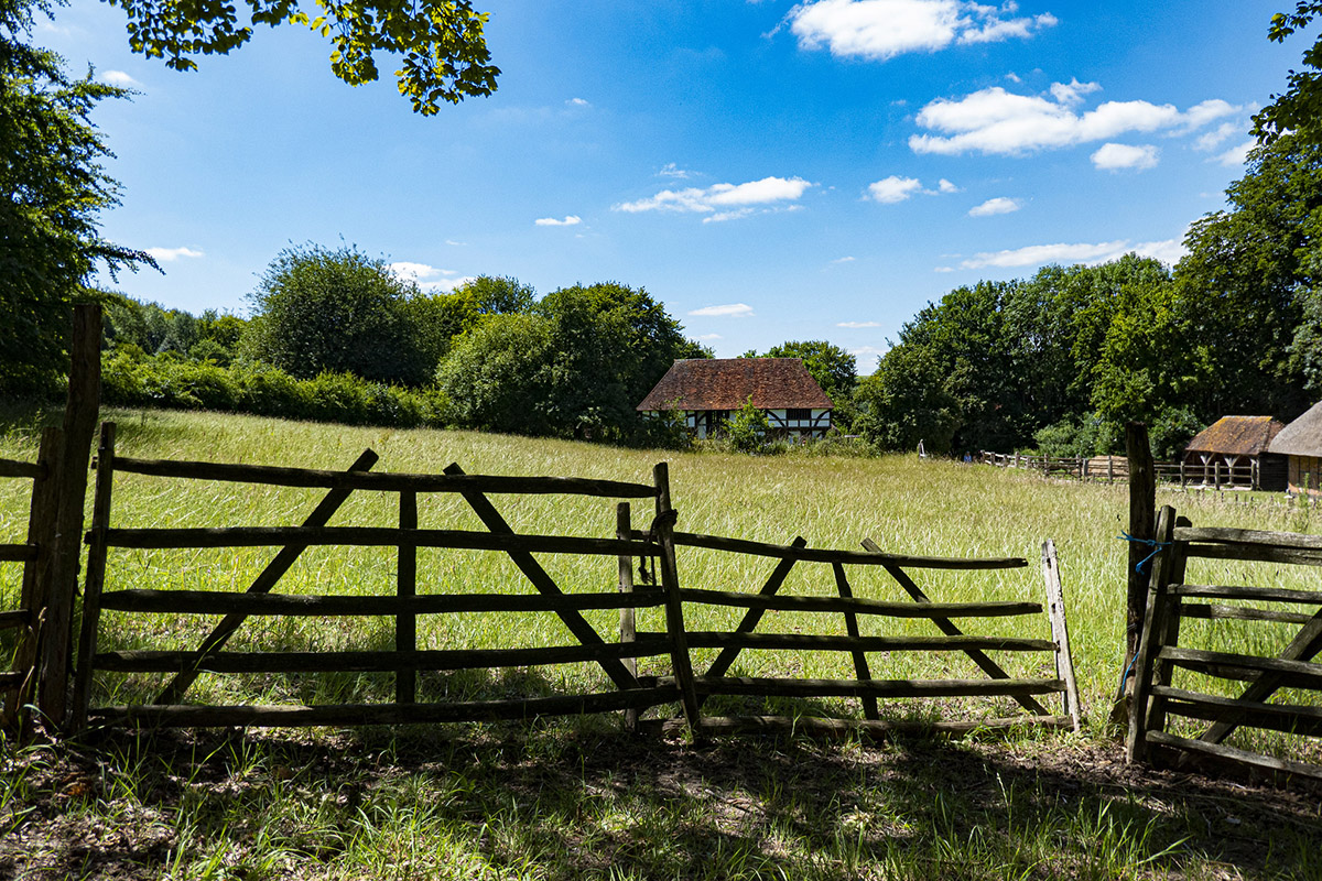 weald and downland living museum woodland walks