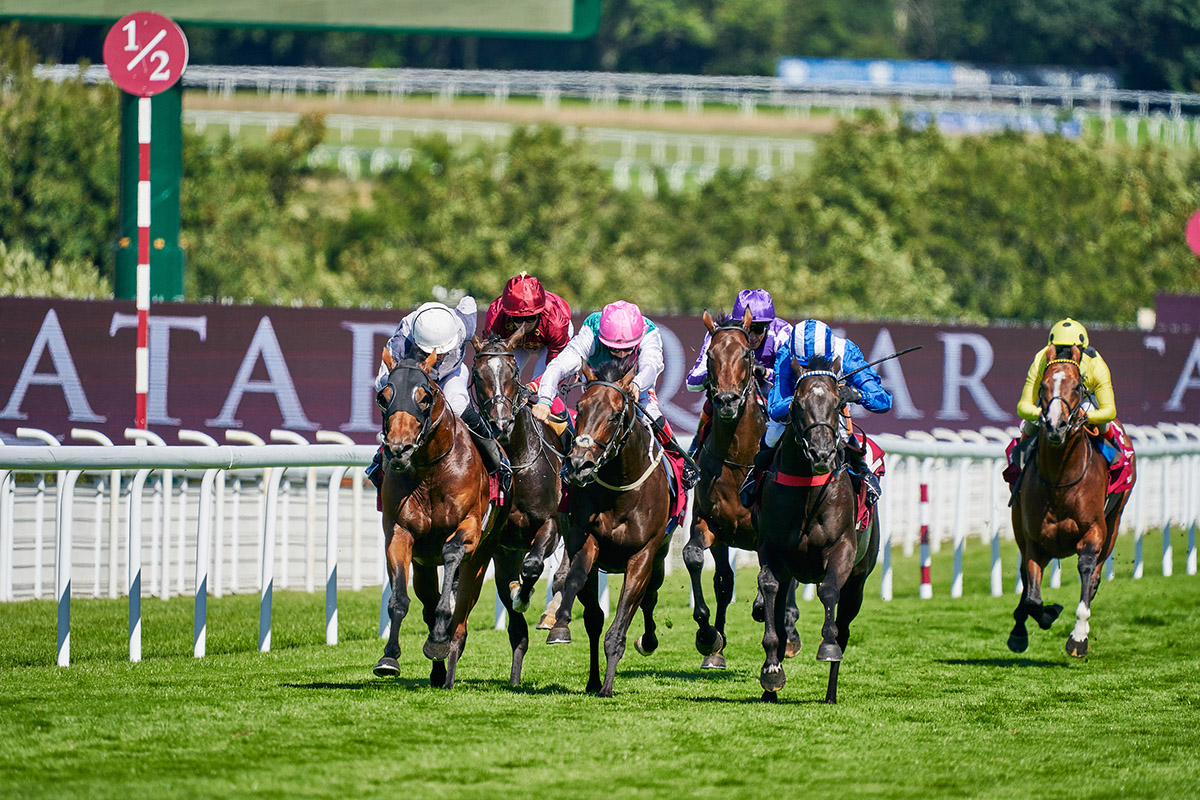 Qatar Goodwood Festival