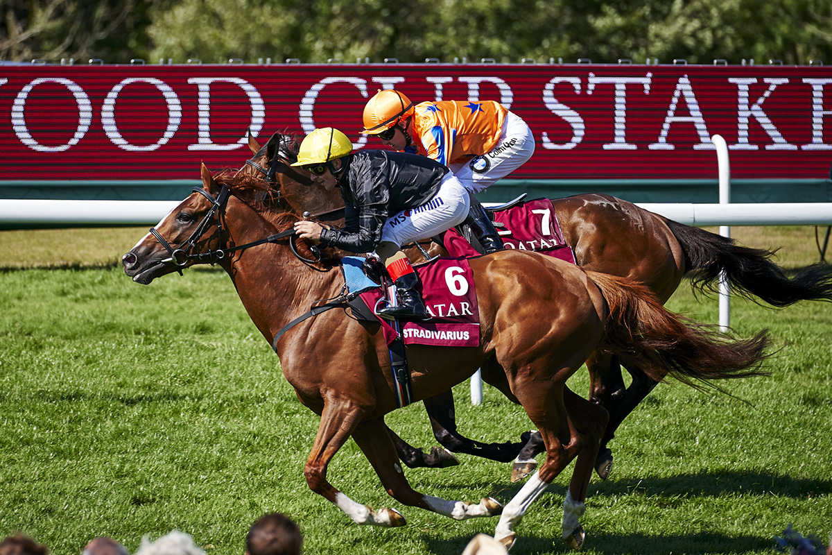 Stradivarius at Qatar Goodwood Festival 2018