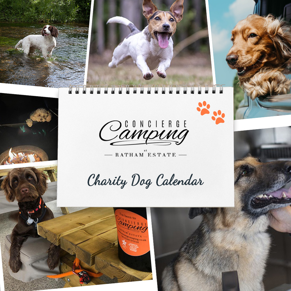 concierge dog calendar